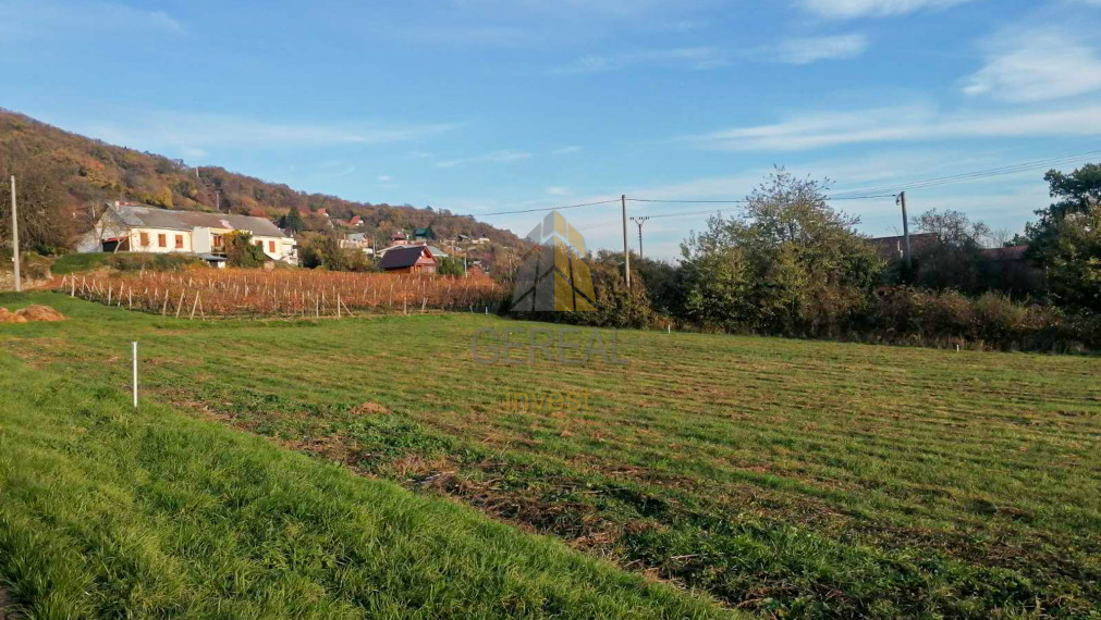 Exkluzívne | Rekreačné pozemky na predaj | Zemplínska Šírava, časť Hôrky, stredisko Lúč | Realitná kancelária Bývajte s NAMI!