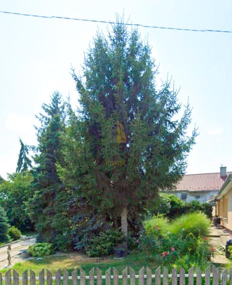 Zrekonštruovaný rodinný dom v obci Soľnička