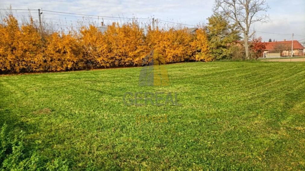 Stavebný pozemok v obci Žbince