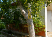 Záhrada s chatkou, Michalovce - fotografia 3