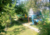 Záhrada s chatkou, Michalovce - fotografia 5