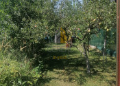 Záhrada s chatkou, Michalovce - fotografia 8