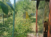 Záhrada s chatkou, Michalovce - fotografia 9