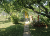Záhrada s chatkou, Michalovce - fotografia 11