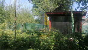 Záhrada s chatkou, Michalovce - fotografia 7