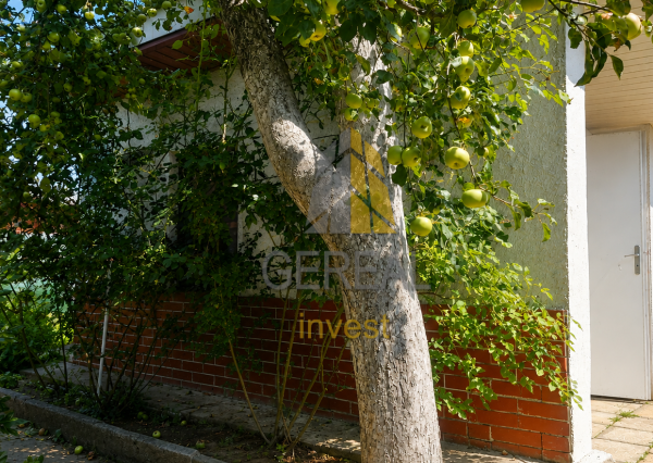 Záhrada s chatkou, Michalovce