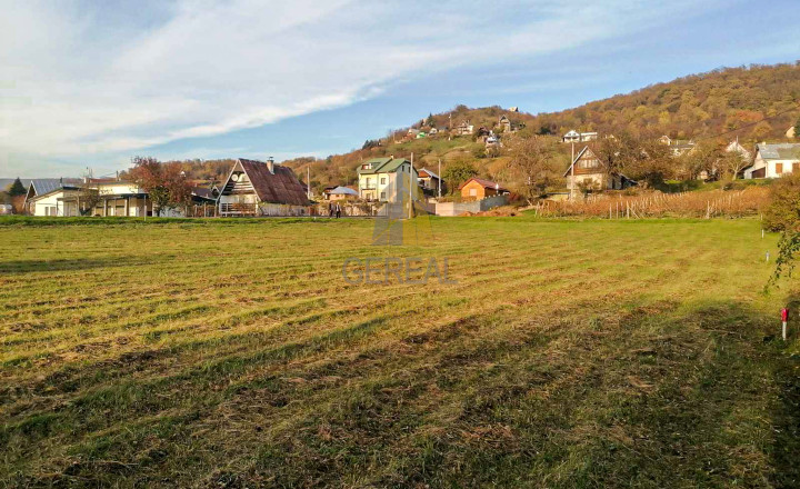 Exkluzívne | Rekreačné pozemky na predaj | Zemplínska Šírava, časť Hôrky, stredisko Lúč | Realitná kancelária Bývajte s NAMI! - fotografia 6