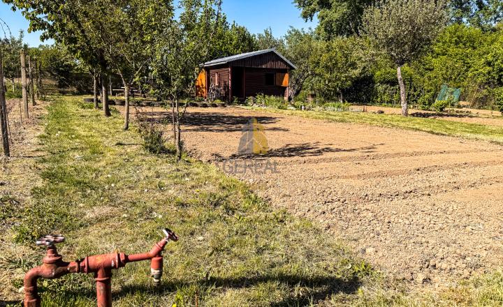 Ponuka predaja | Záhrada s chatkou v pokojnej lokalite mesta Sobrance | BÝVAJTE s nami - fotografia 2