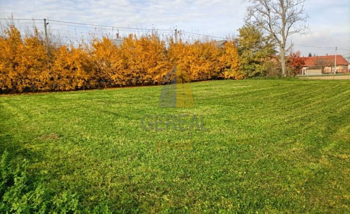 STAVEBNÝ POZEMOK S VÝMEROU 806 m² – ŽBINCE - fotografia 2