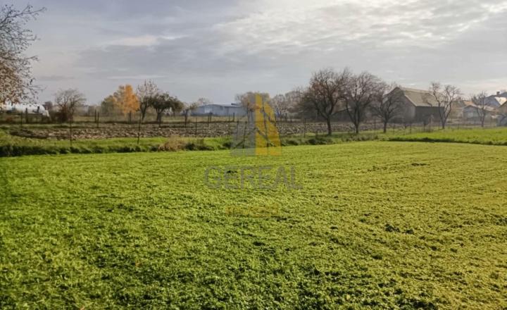 STAVEBNÝ POZEMOK S VÝMEROU 806 m² – ŽBINCE - fotografia 1