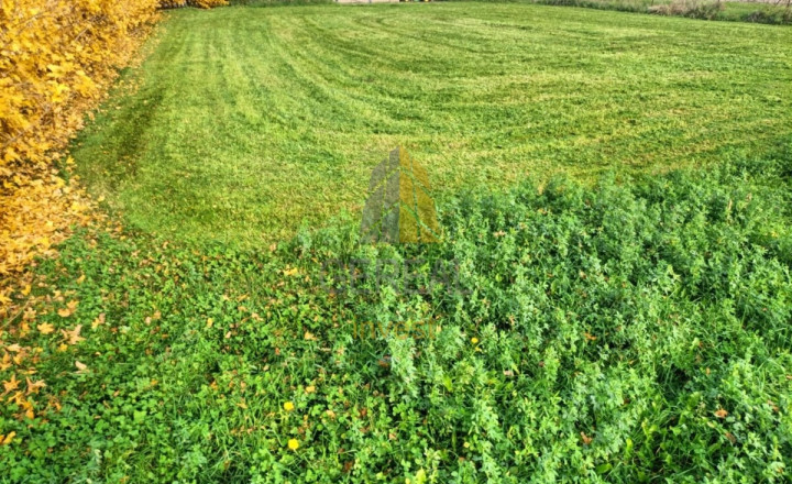 STAVEBNÝ POZEMOK S VÝMEROU 806 m² – ŽBINCE