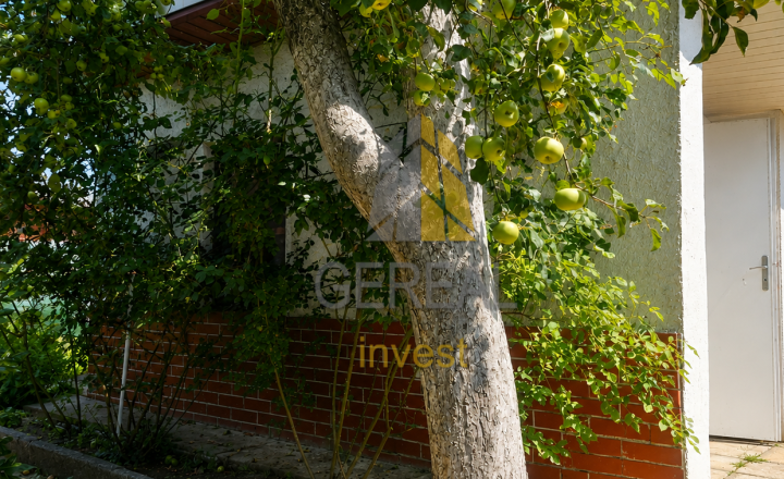 Záhrada s chatkou, Michalovce